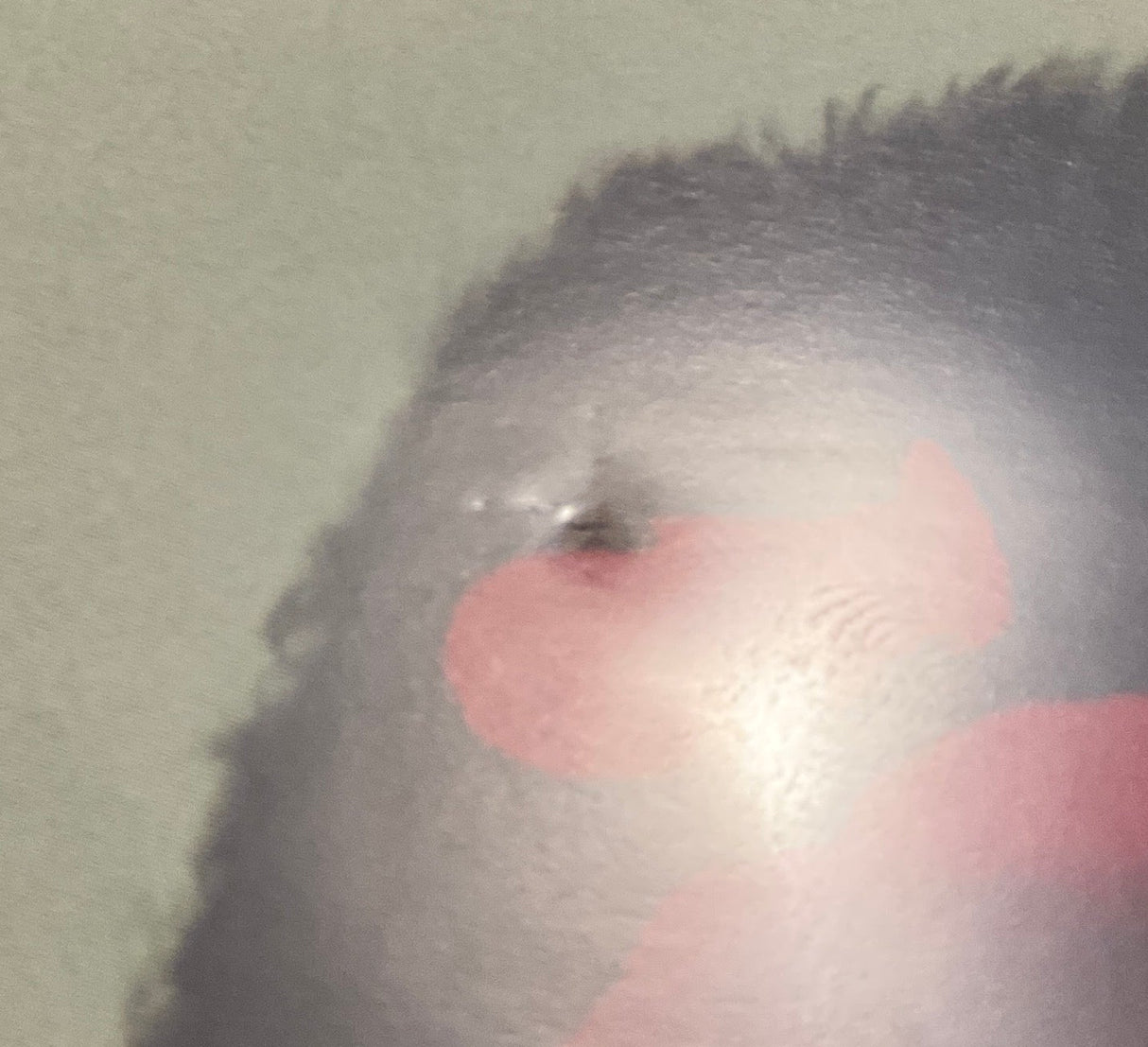 The Eel (US Limited Edition) USED