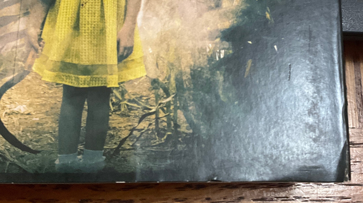 Children Of The Corn: Runaway w/SLIP USED