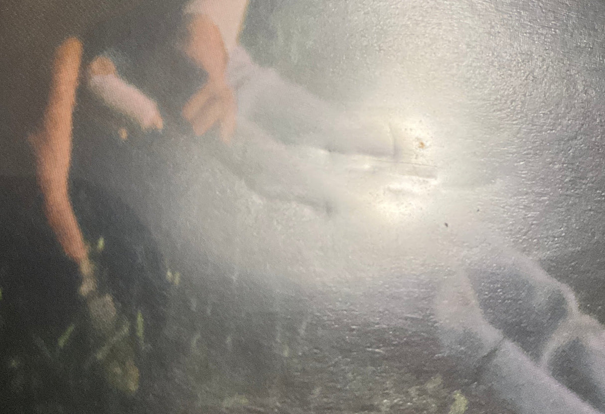 The Eel (US Limited Edition) USED