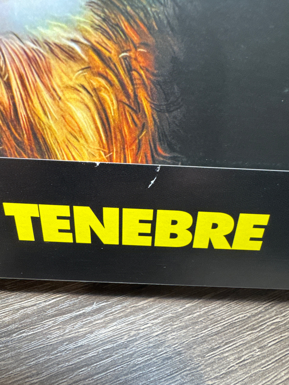 Tenebrae (4K UHD, Synapse Limited Edition, Cover A) USED