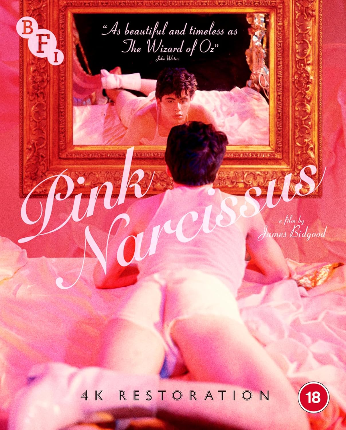 Pink Narcissus (Region B)
