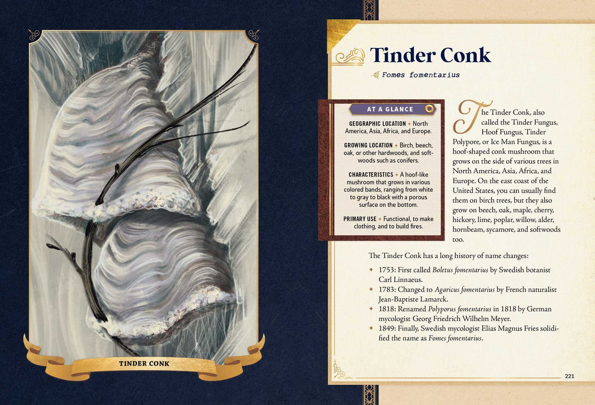 The Little Book of Mushrooms