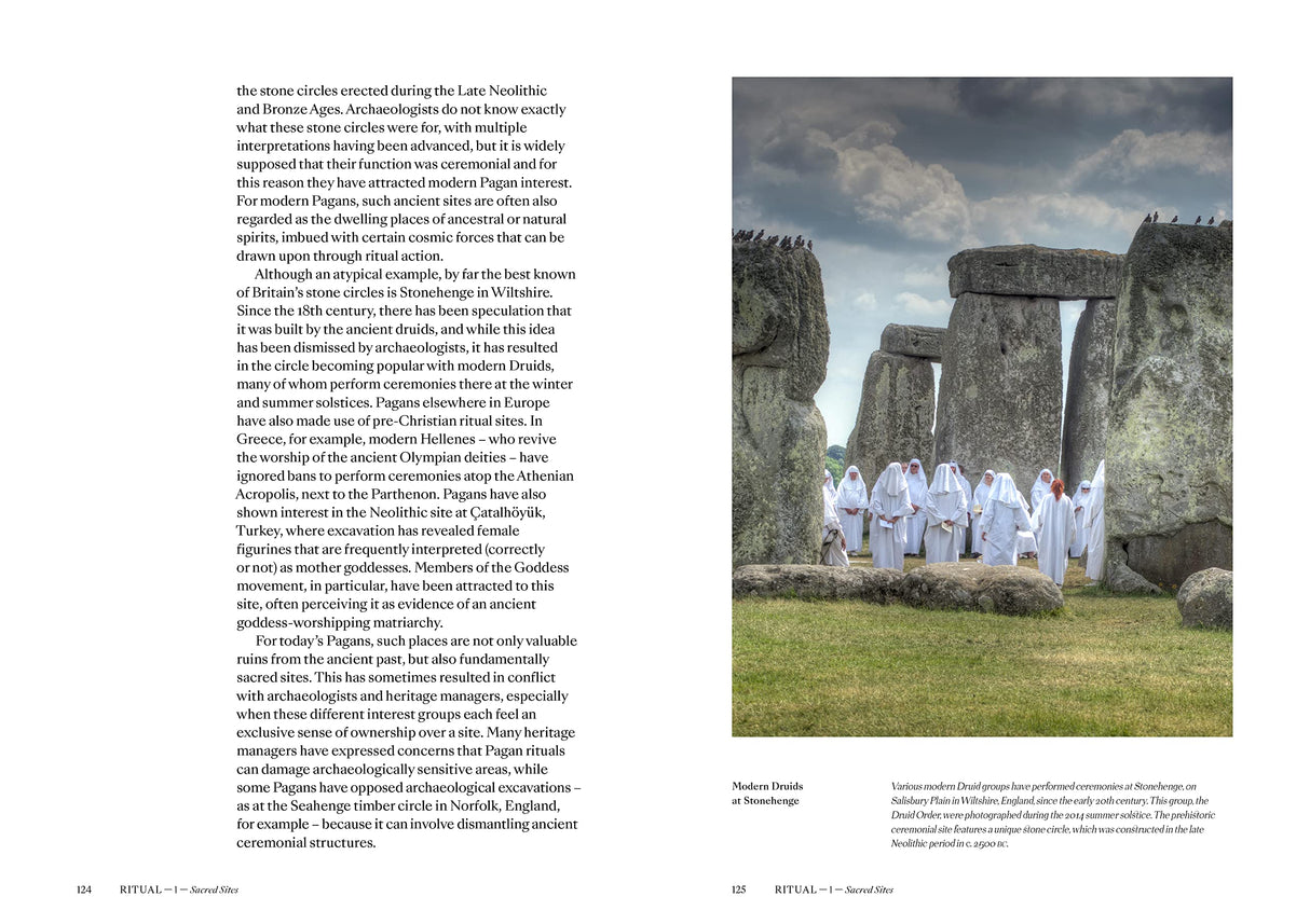 Pagans: The Visual Culture of Pagan Myths, Legends and Rituals