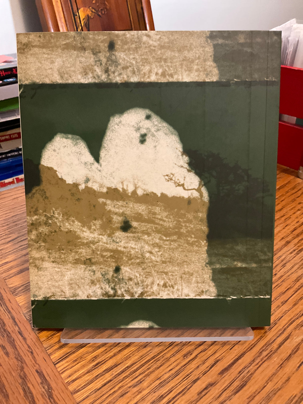 All the Haunts Be Ours USED