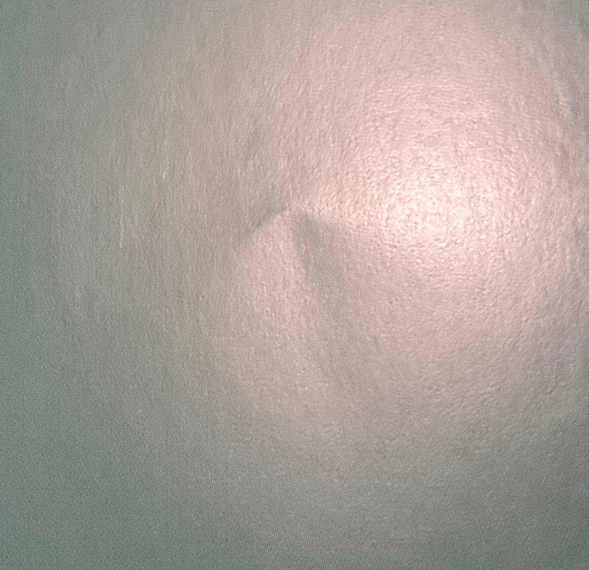 Wolf Children w/SLIP AND BOOKLET USED