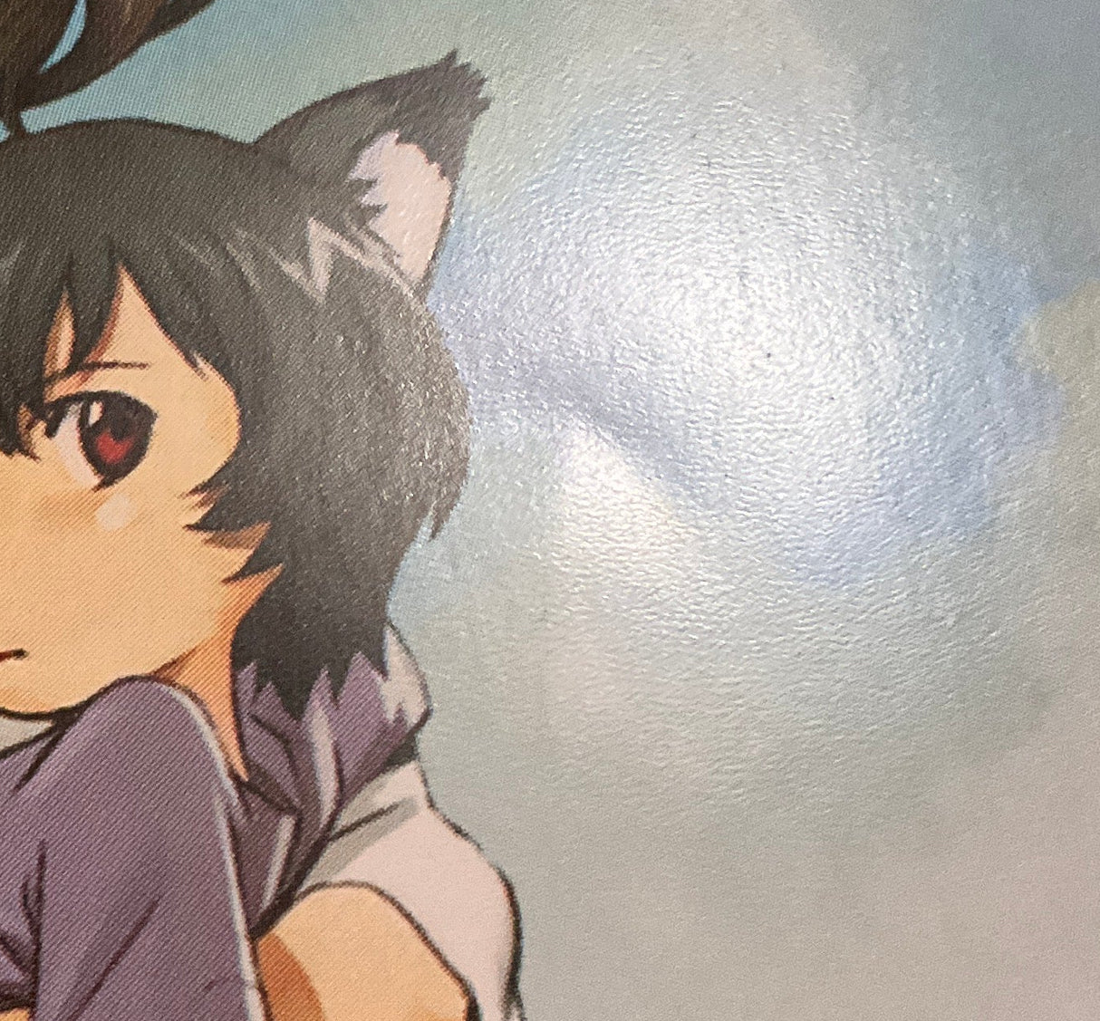 Wolf Children w/SLIP AND BOOKLET USED