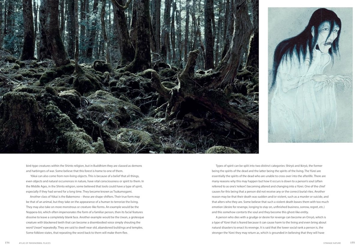 Atlas of Paranormal Places - Books