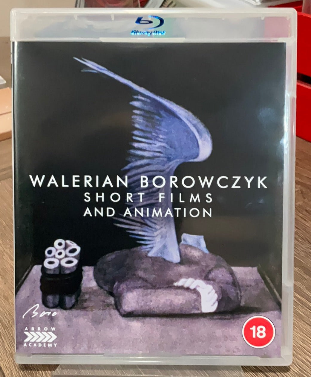 Camera Obscura: The Walerian Borowczyk Collection (REGION B) USED