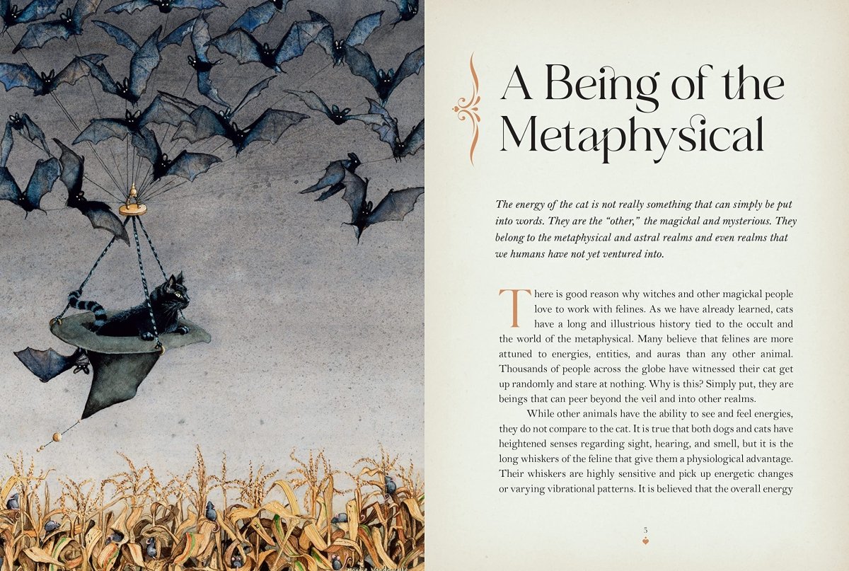 Cat Magick - Books