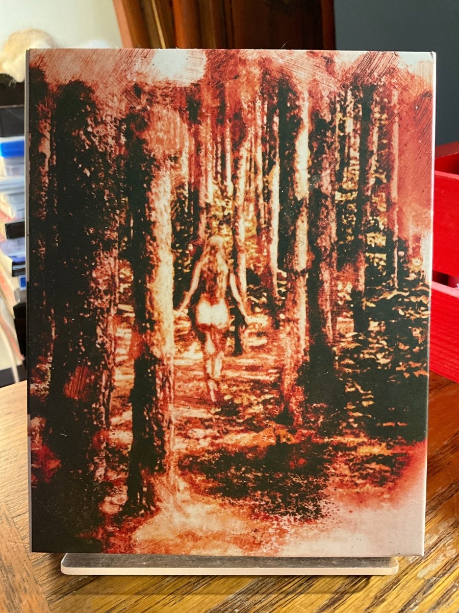 Day Of The Woman: I Spit On Your Grave / I Spit On Your Grave: Deja Vu (4K UHD) w/SLIP USED