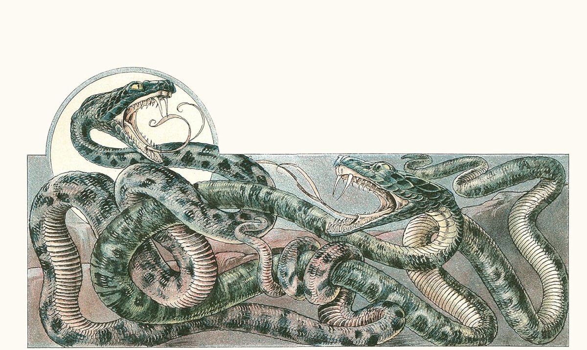 Fantastic Beasts of the Nineteenth Century - Books