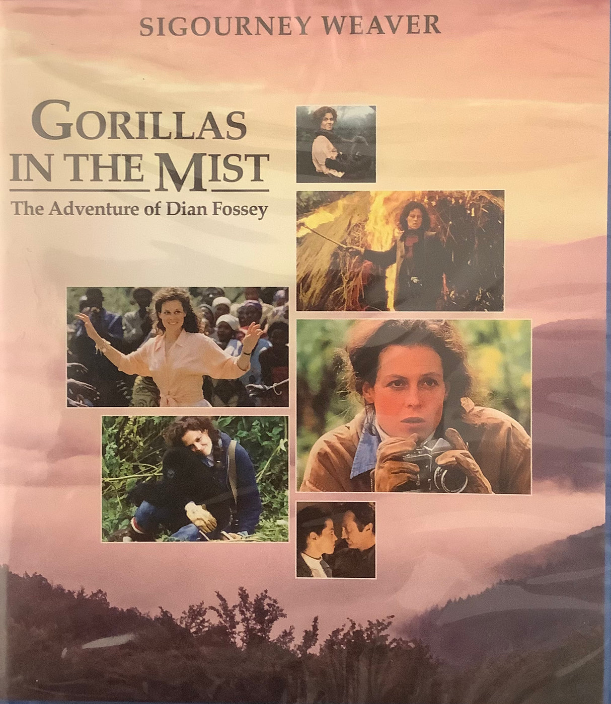Gorillas in the Mist
