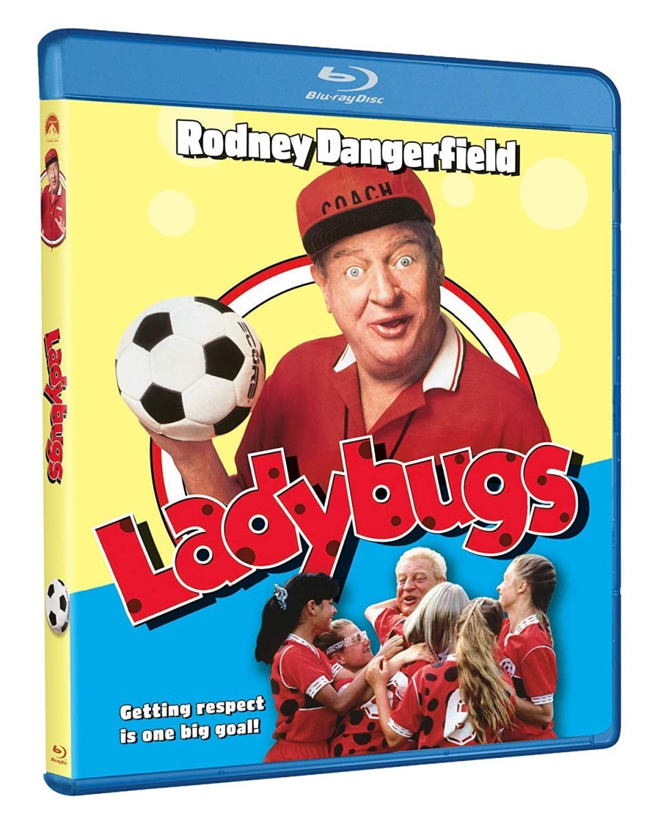 Ladybugs USED