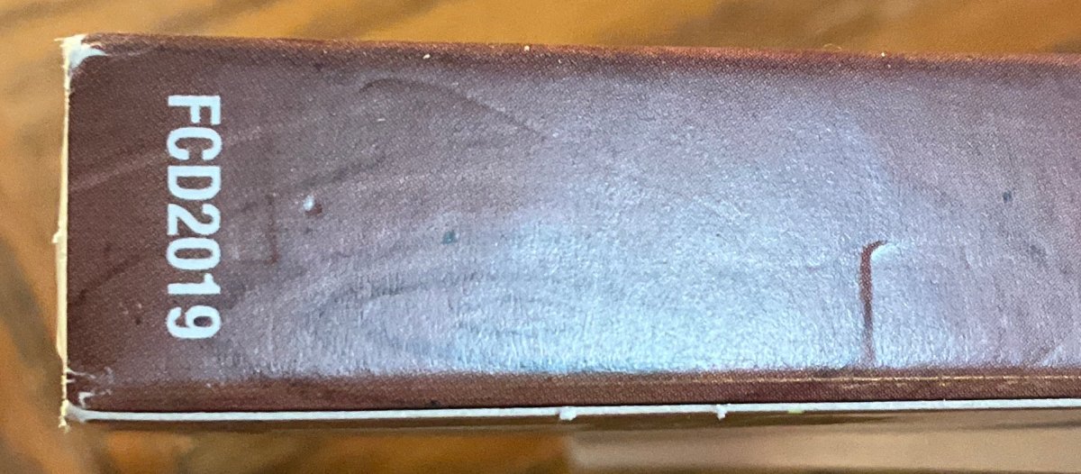 Lake Michigan Monster w/SLIP AND BOOKLET USED