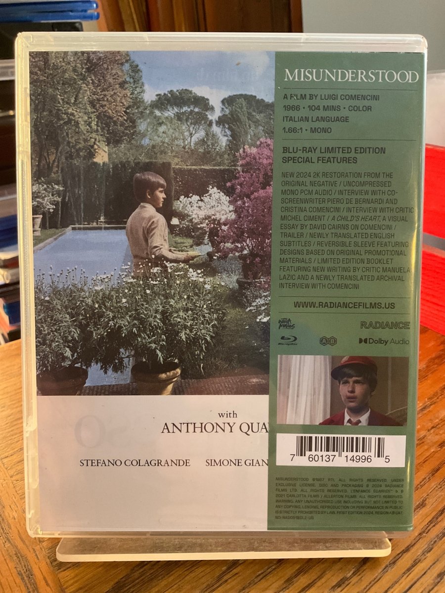 Misunderstood (Limited Edition) USED - Used Blu - Ray