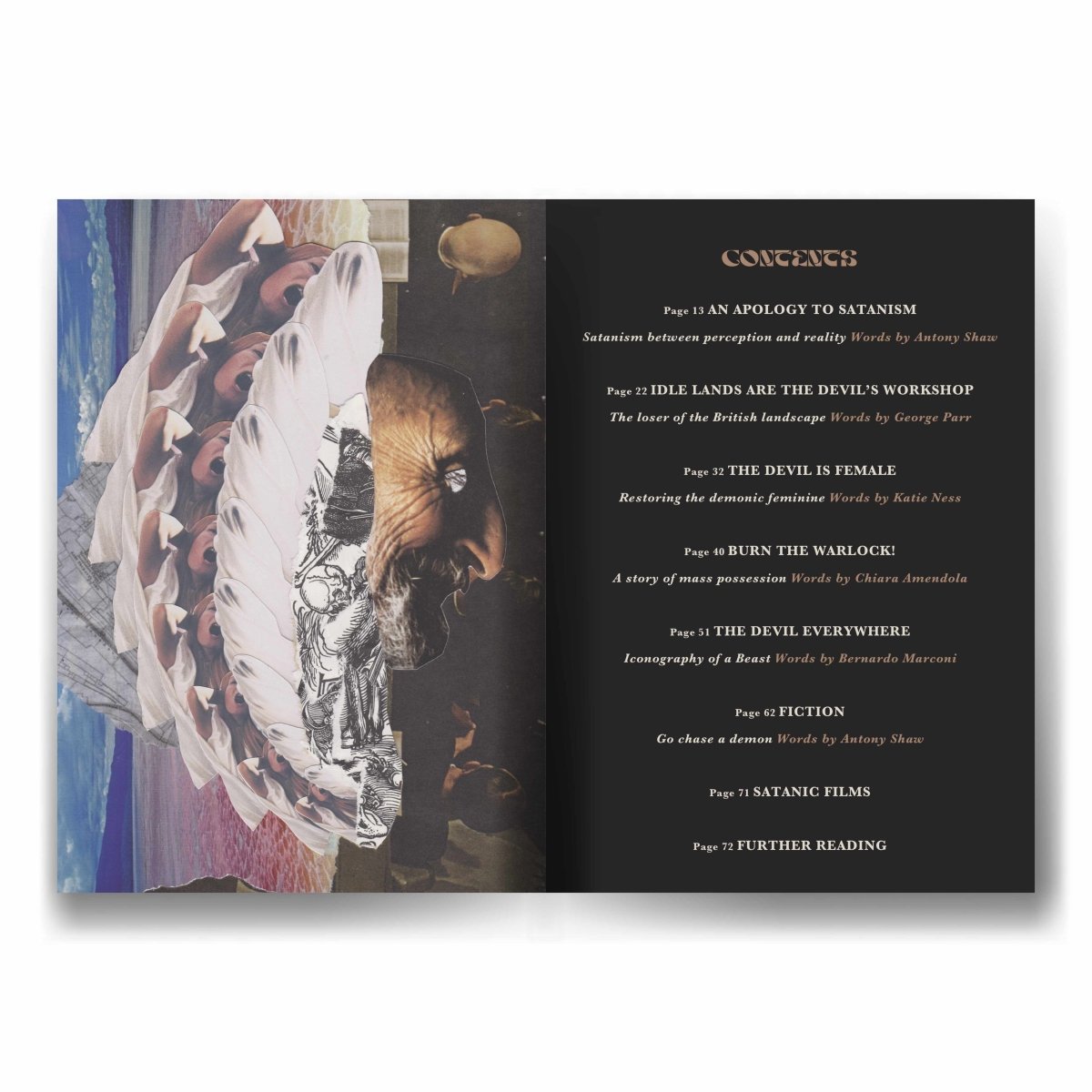 Occulture Volume Two: The Devil's Party - Books