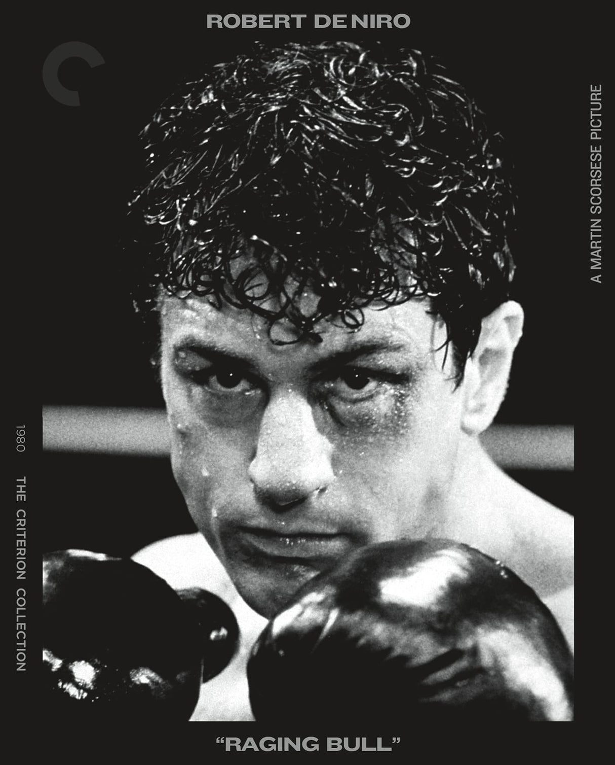 Raging Bull (#1134) USED