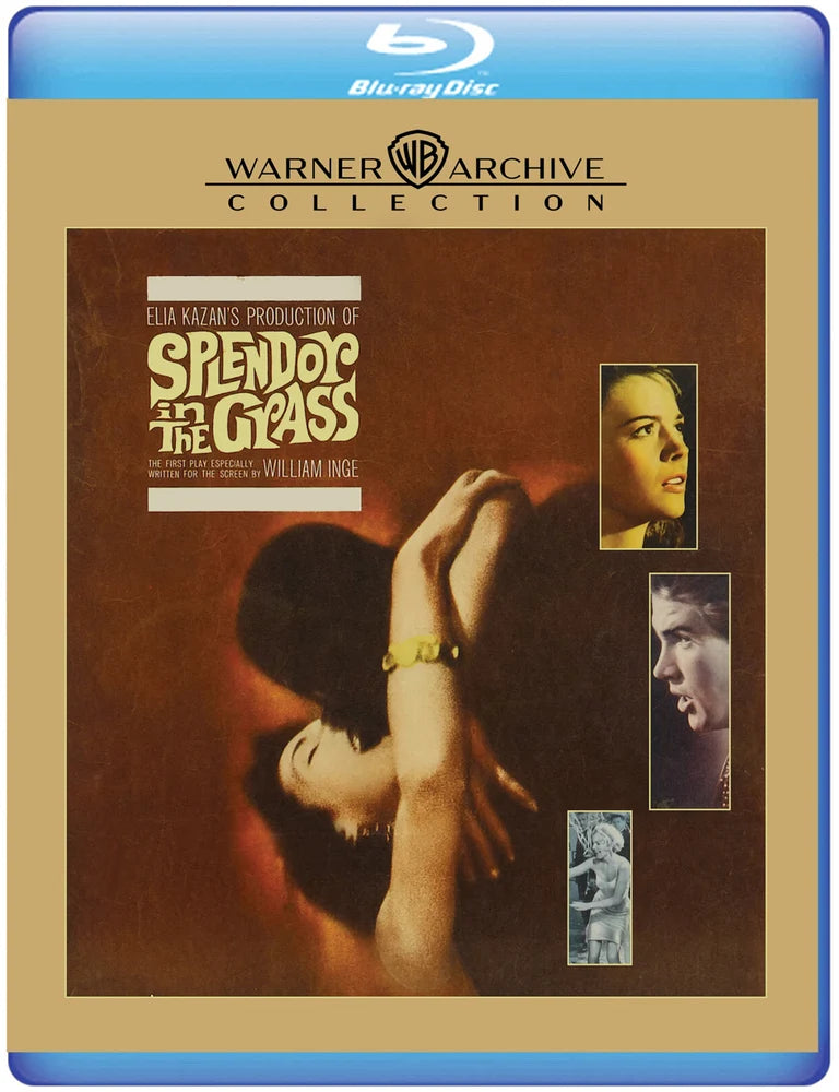 Splendor in the Grass USED
