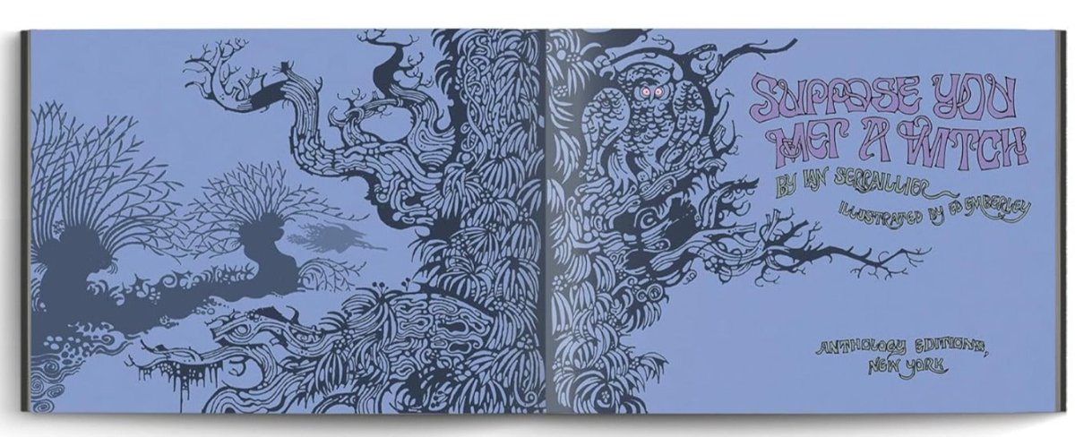 Suppose You Met a Witch - Books