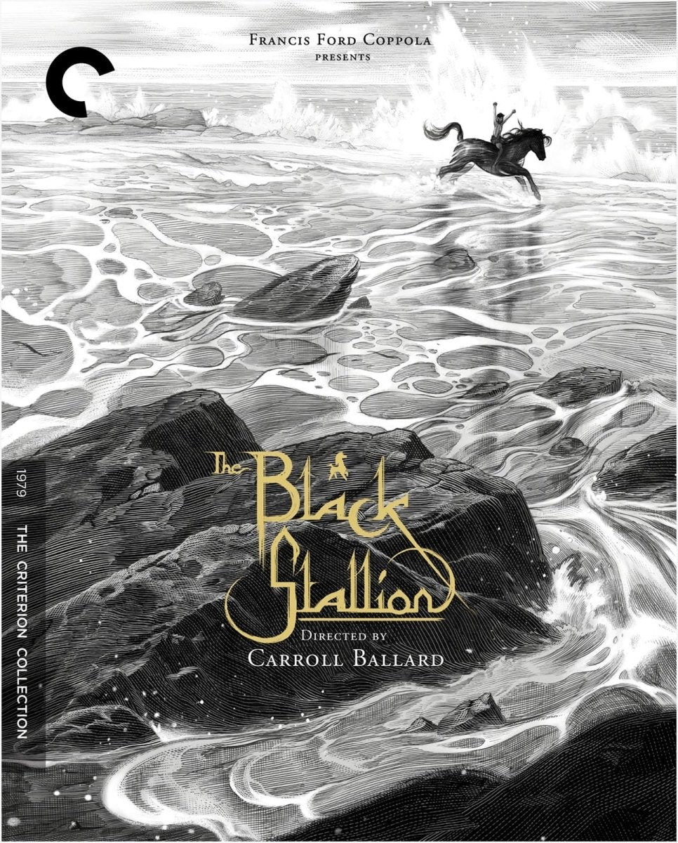 The Black Stallion (765) - New Blu - Ray