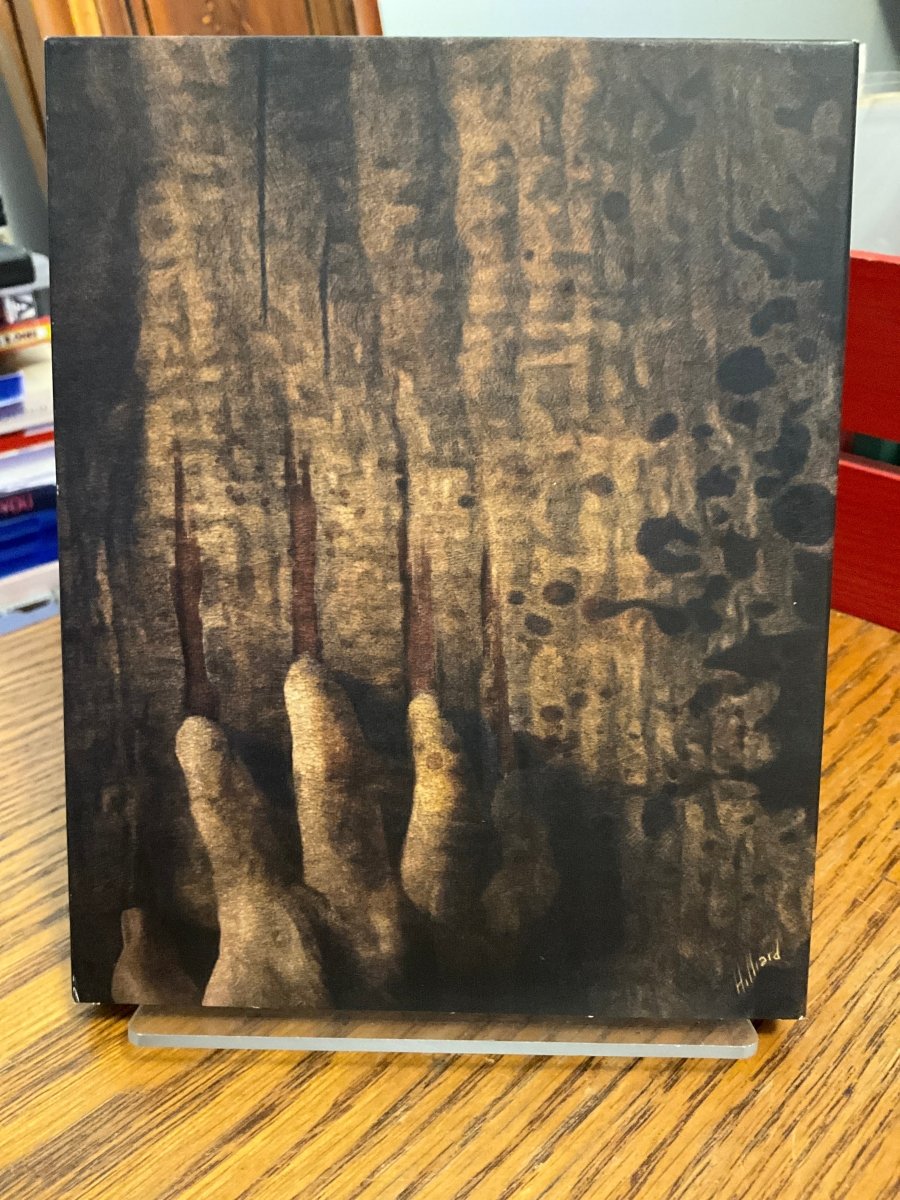 The Fear w/SLIP USED - Used Blu - Ray