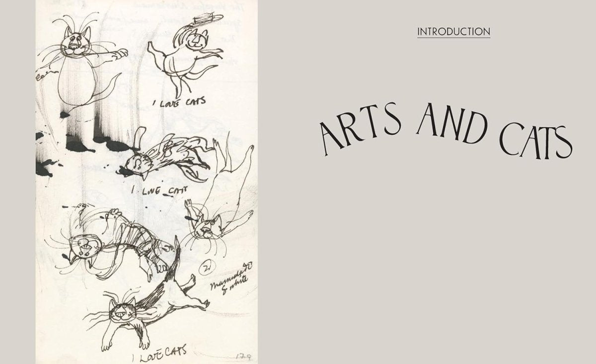 The Theatrical Adventures of Edward Gorey: Rare Drawings, Scripts, and Stories (HC) - Books