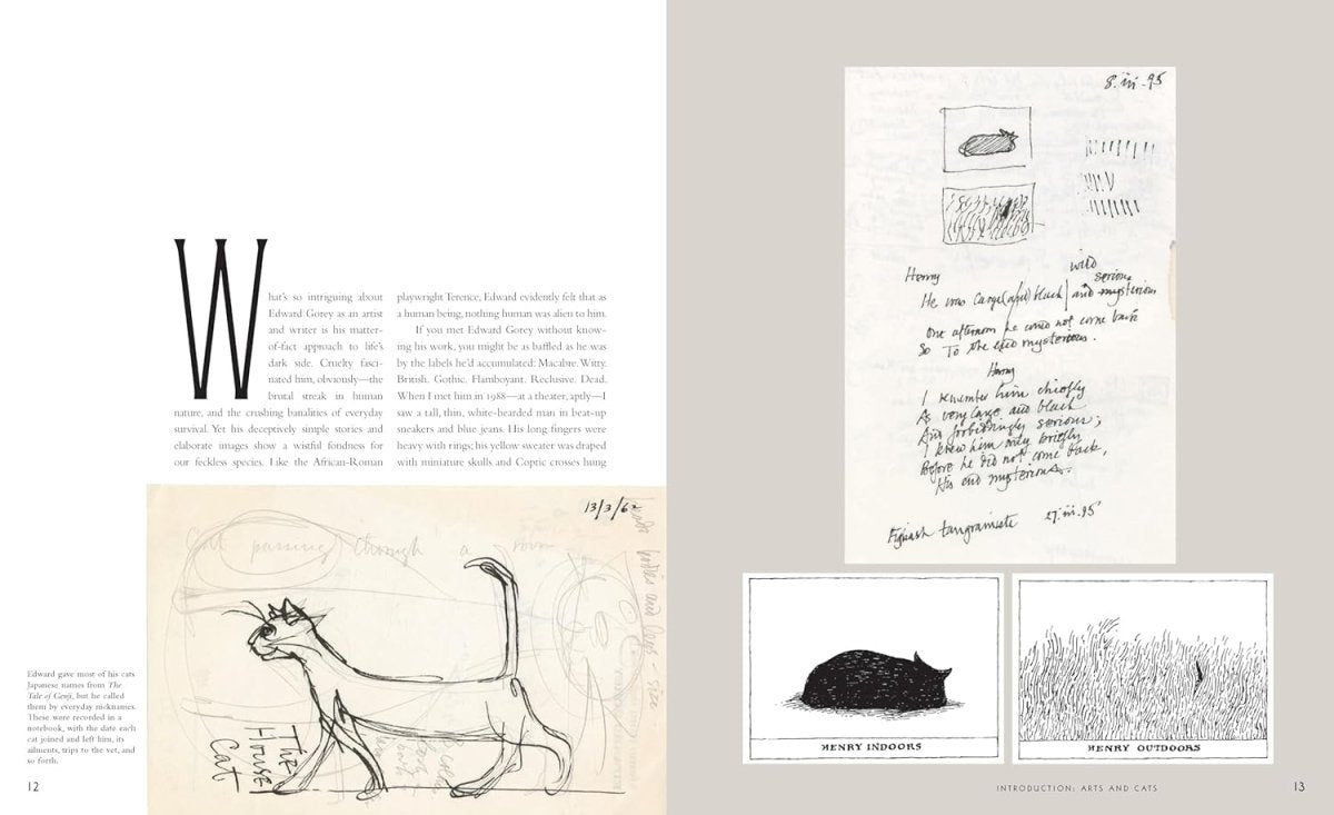 The Theatrical Adventures of Edward Gorey: Rare Drawings, Scripts, and Stories (HC) - Books