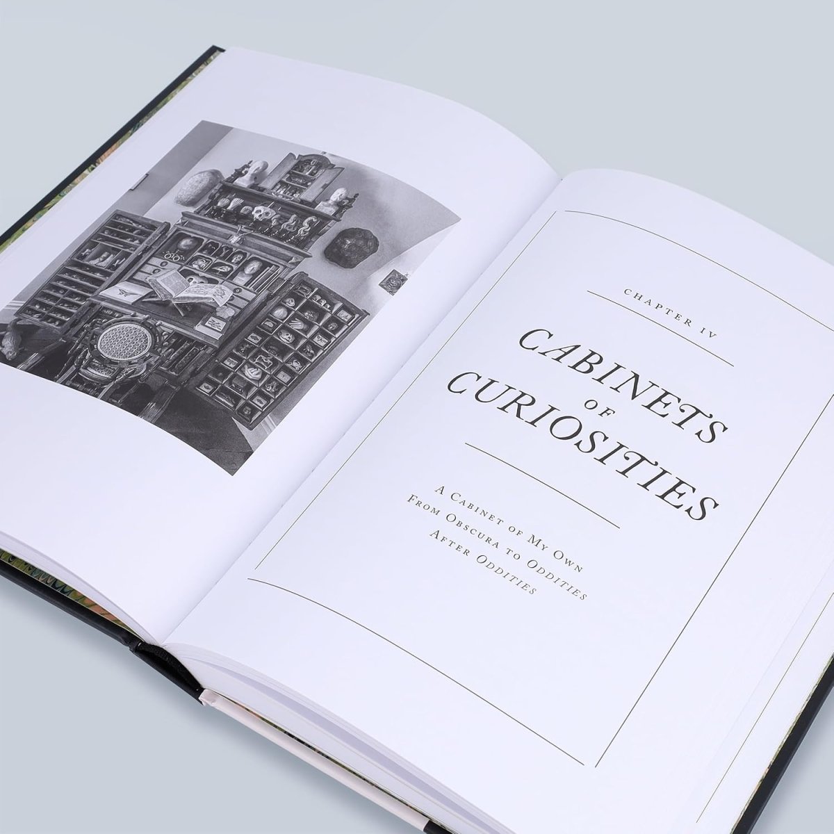 The Witch's Door: Oddities and Tales from the Esoteric to the Extreme - Books