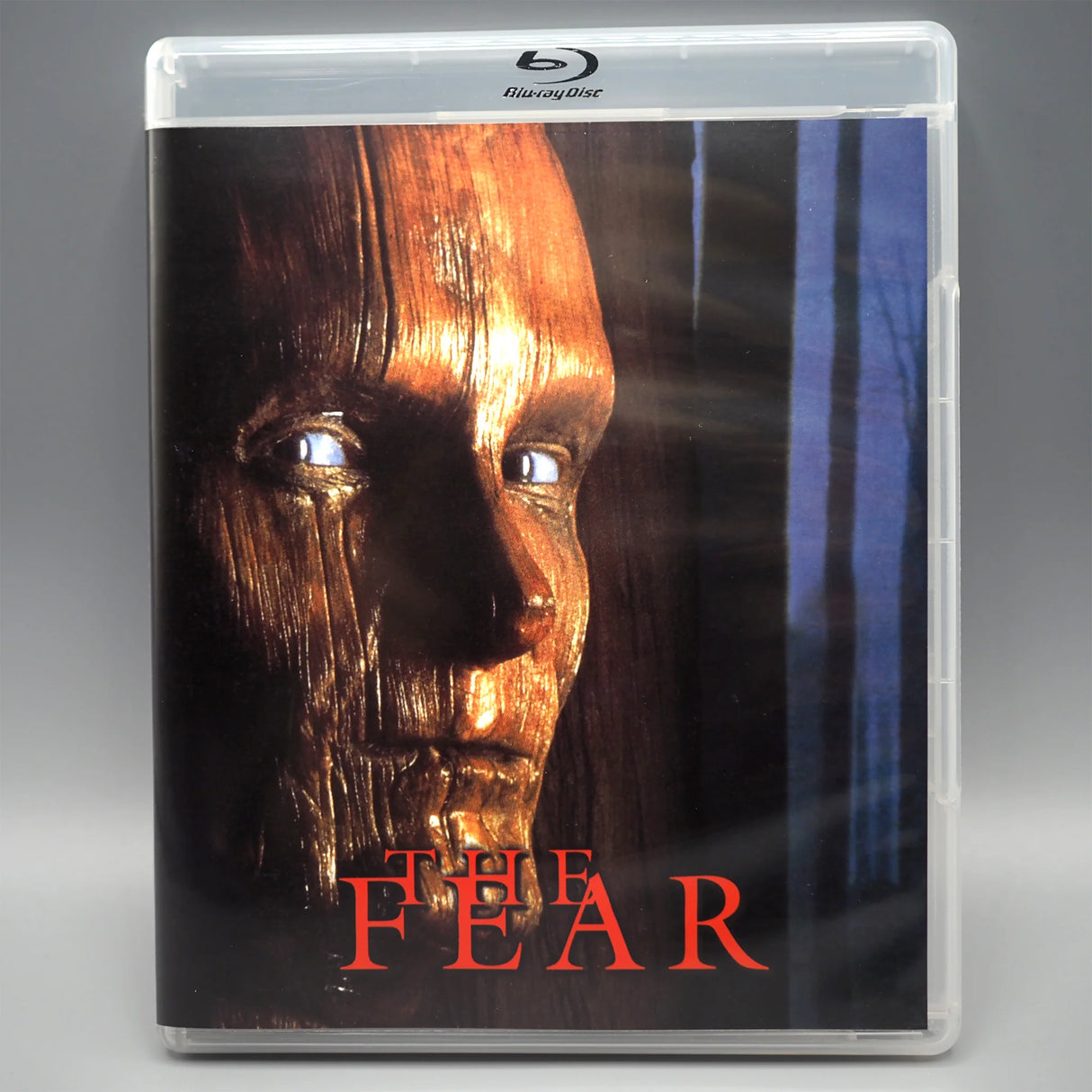 The Fear (1995)