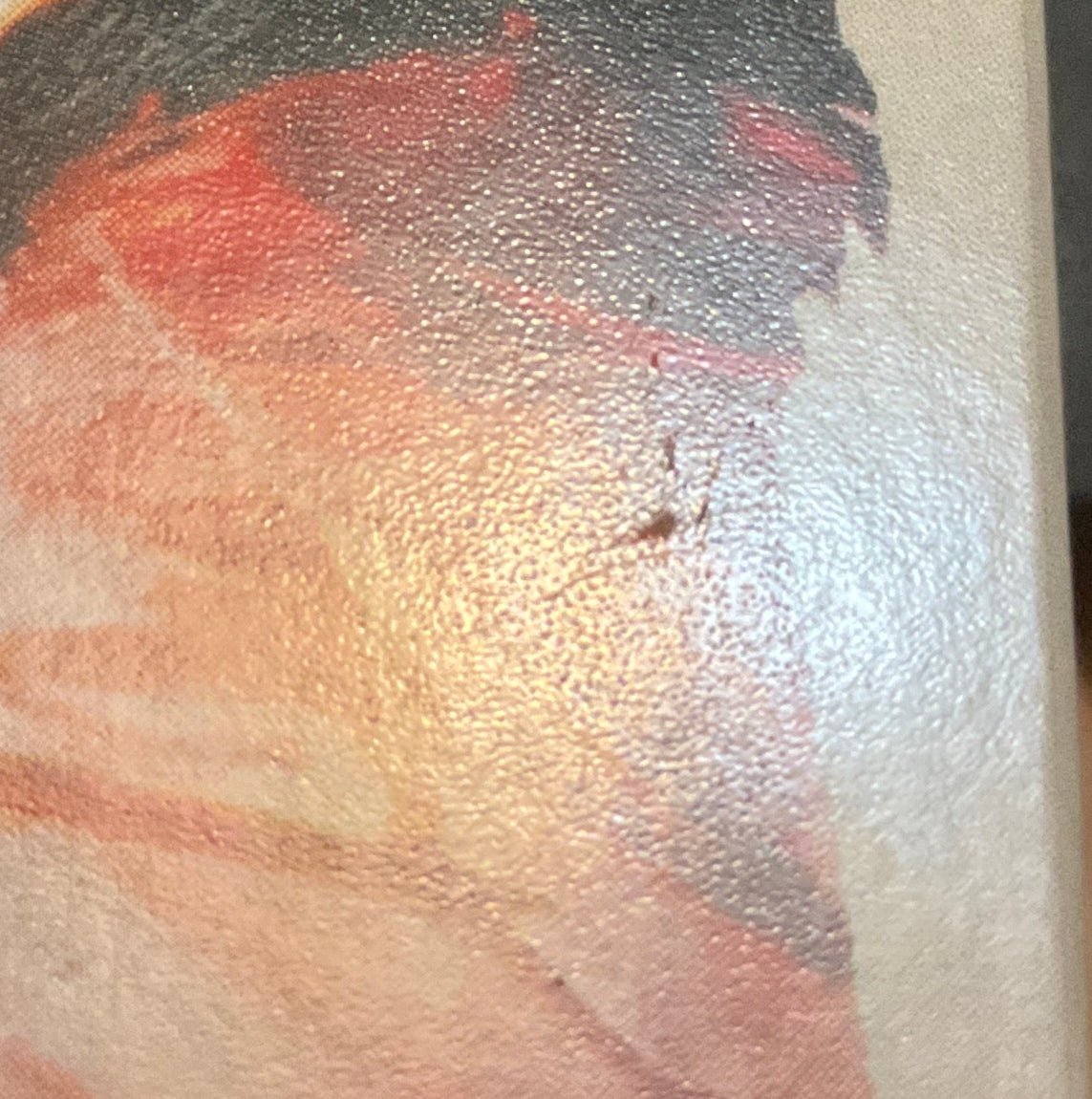 Total Extermination: The Peter Cushing Doctor Who Collection (4K UHD) USED - Used 4K UHD