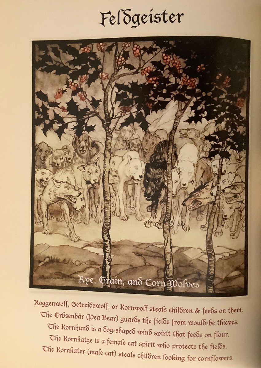 Yule: Pagan Lore and Christmas Origins (Hardback, First Edition) - Books