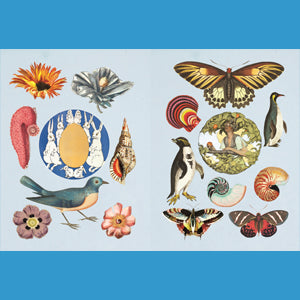 The Antiquarian Sticker Book