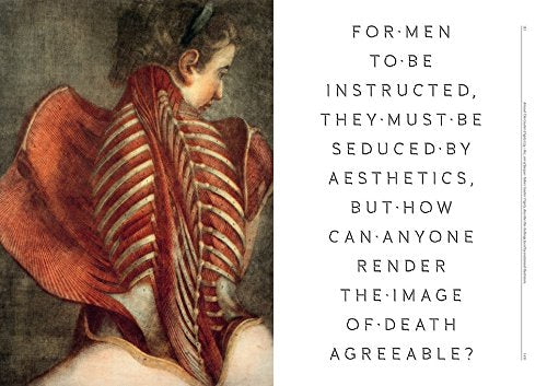 The Anatomical Venus: Wax, God, Death & the Ecstatic