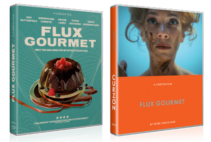 Flux Gourmet (Region B)