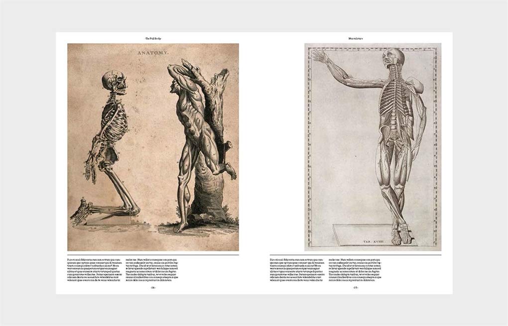 Anatomica: The Exquisite and Unsettling Art of Human Anatomy