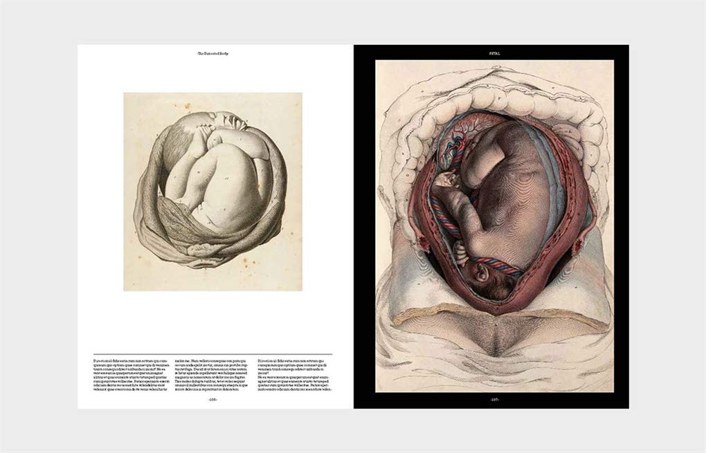 Anatomica: The Exquisite and Unsettling Art of Human Anatomy