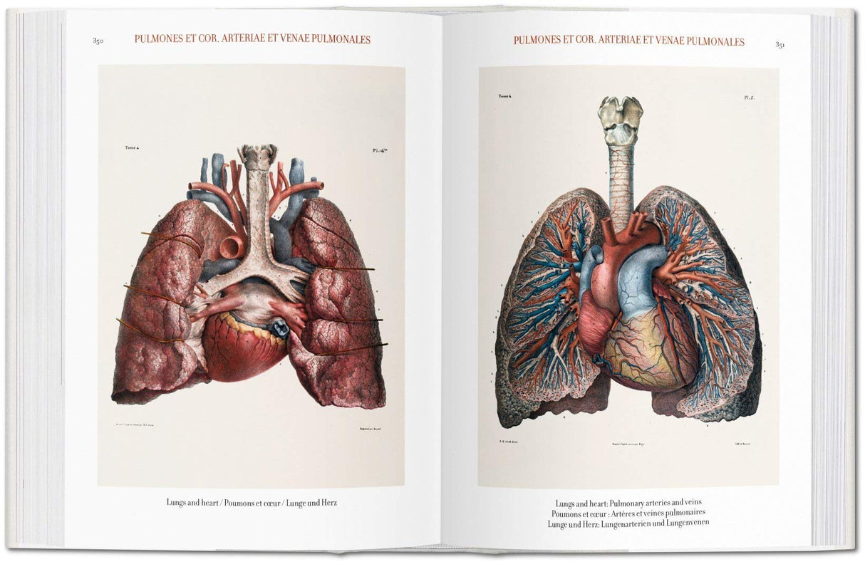 Atlas of Human Anatomy and Surgery