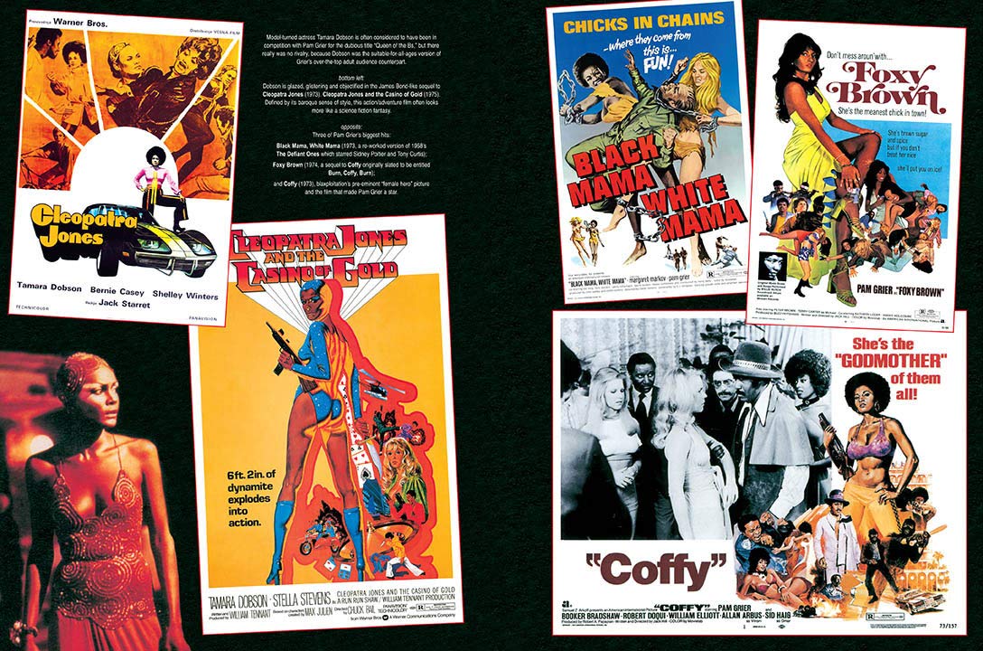 Blaxploitation Cinema: The Essential Reference Guide