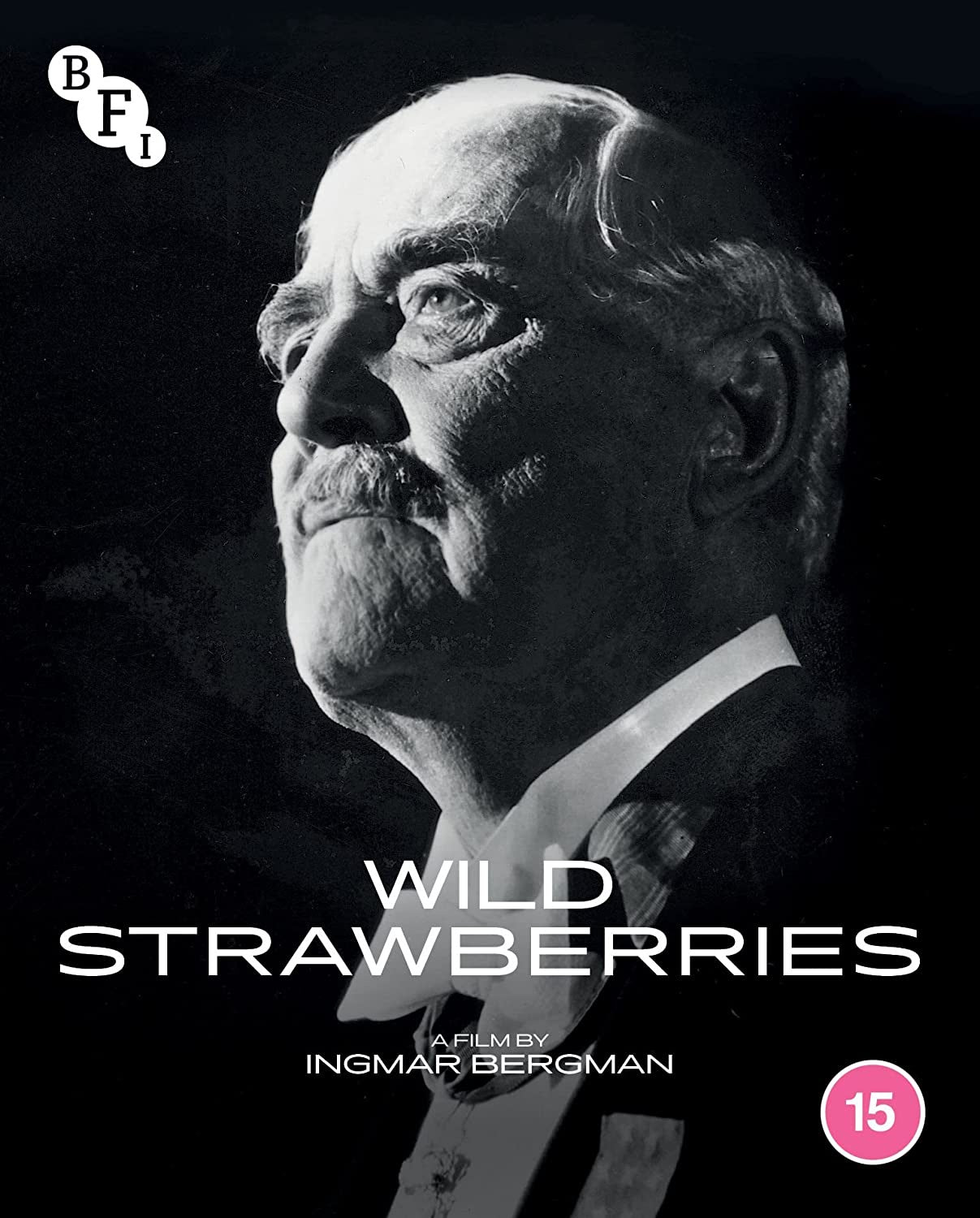 Wild Strawberries (Region B)