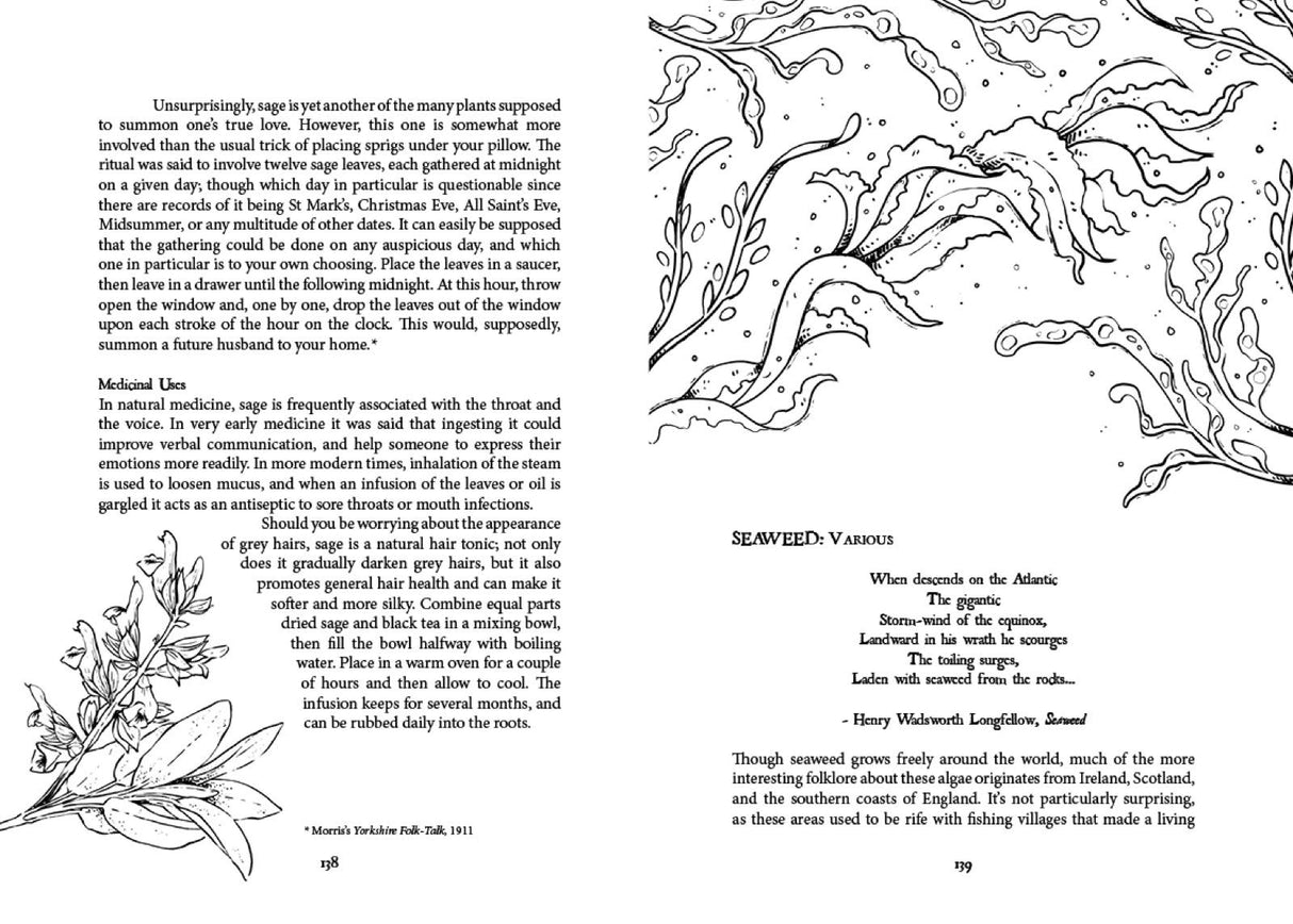 Folk Magic and Healing: An Unusual History of Everyday Plants