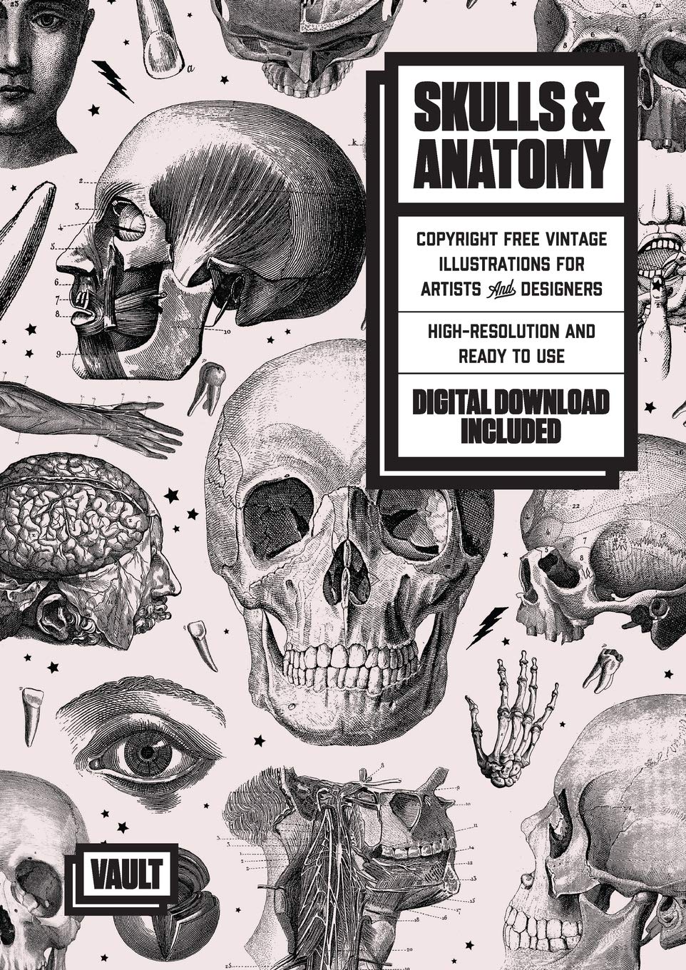 Skulls and Anatomy
