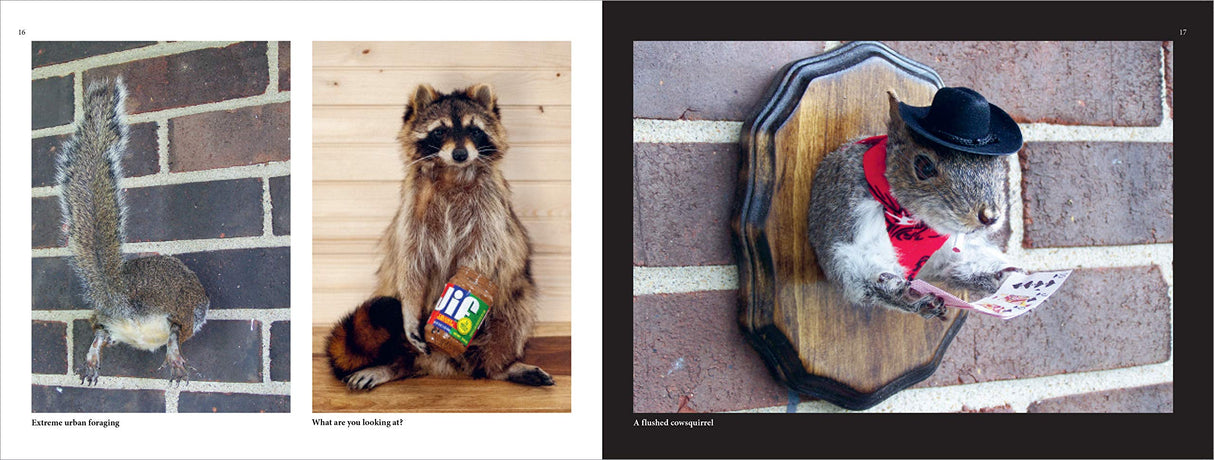 Taxidermy Gone Wrong