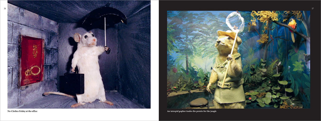 Taxidermy Gone Wrong