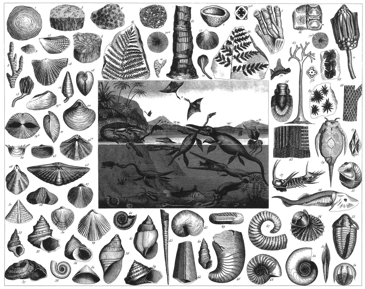 Heck's Pictorial Archive of Nature and Science