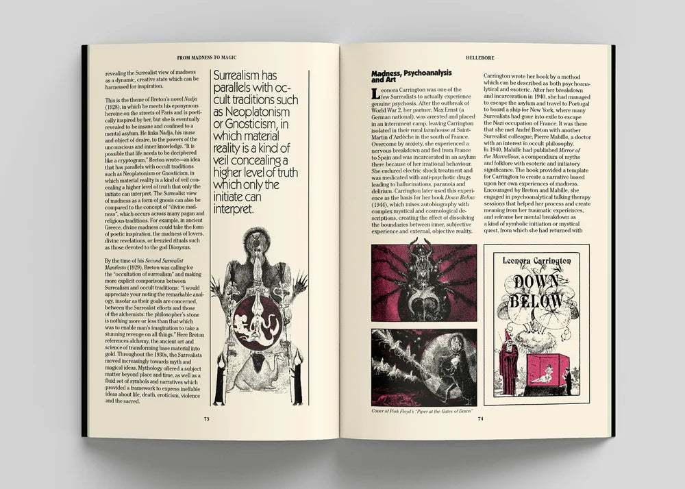 Hellebore Zine #8: The Unveiling Issue