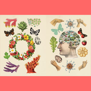 The Antiquarian Sticker Book