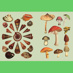 The Antiquarian Sticker Book