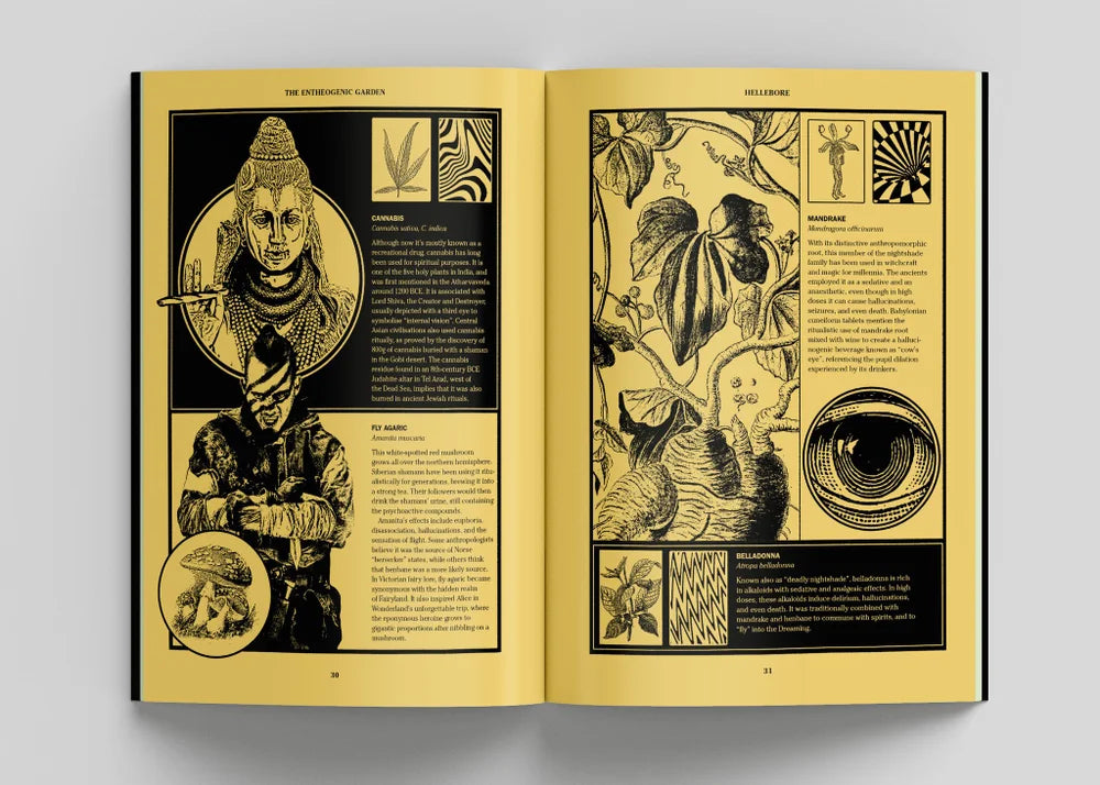 Hellebore Zine #8: The Unveiling Issue