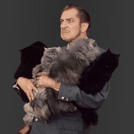 Charles' Favorites - Orbit DVD