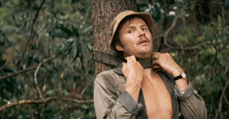 Collection: Don't Go In The Wood....Ever!-Orbit DVD